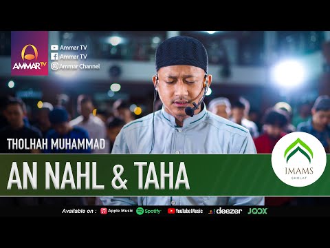 SURAT AN NAHL 120-128 & TAHA 98-114 || THOLHAH MUHAMMAD || IMAM SHOLAT TARAWIH