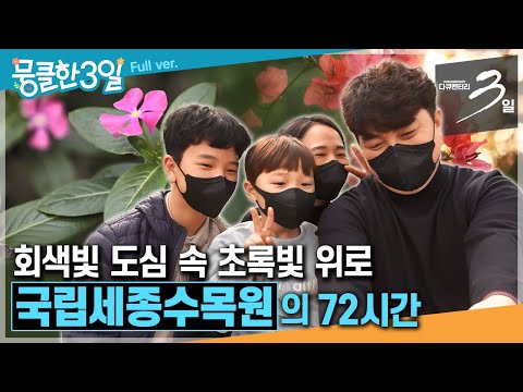 [다큐3일★Full] 꽃과 나무가 준비한 다채로운 만찬.. 국내 최대 도심형 수목원🌿 ‘국립세종수목원'의 72시간 | KBS 방송