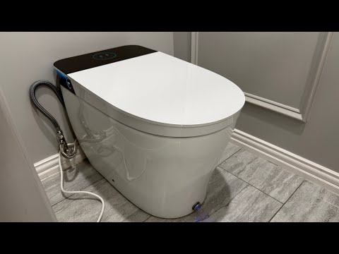 The Best Toilet & Bidet Combo For Your Money!