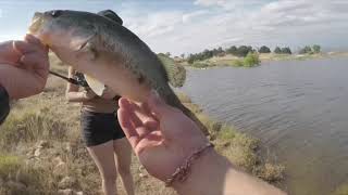 Lake Eastman bass fishing