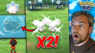 Shiny Tandemaus Caught & Evolved! Snom is Here! (Pokémon GO)