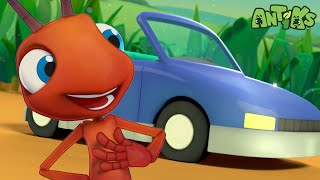 Entre no carro! Hora de dirigir! 🚗 | ANTIKS BRASIL | Desenhos Animados Engraçados para Crianças
