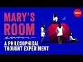 Knowledge Argument and Consciousness