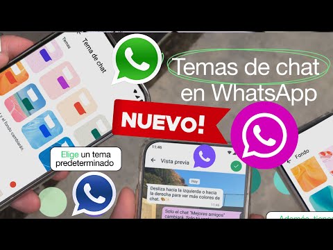 Activa los temas de colores en los chat de WhatsApp.