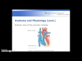 Cardiovascular System and Terminology