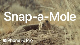 iPhone 16 Pro | Camera Control | Apple