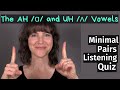 Understanding Vowel Sounds and Minimal Pairs