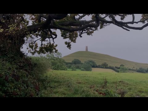 Cold Rain Sounds Under the Tree in England | Gentle Rainfall for Relaxing, Sleeping Deeply, Insomnia