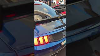 Mustang GTD in the wild! #mustang