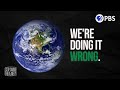 Environmental Impact and Perspectives