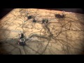 Washington's Strategic Decisions in Battle