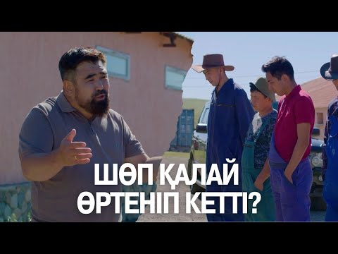 Шөп қалай өртеніп кетті? | Көршінің қызы