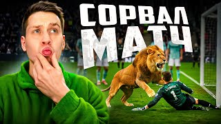 Случаи, когда животные сорвали спортивные матчи
