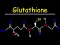 Glutathione: Structure, Function, and Importance