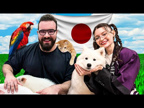 JAPONYA HAYVAN KAFELERİ! @MeryemCanOfficial​