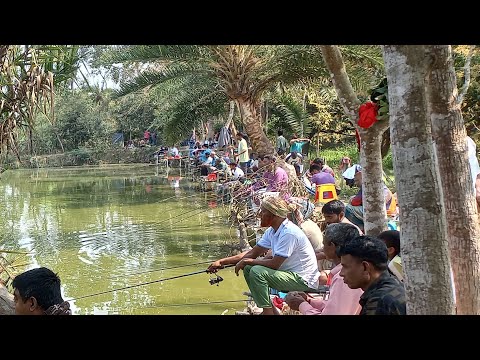 লালন ফিশিং জোনে দুই কাটার মাছ শিকার চলছে! Live streaming from fishing event!