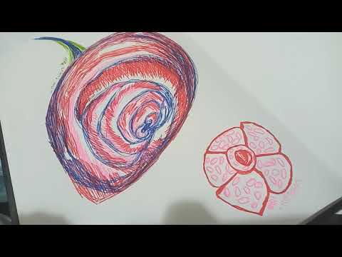VLogs Cover Image