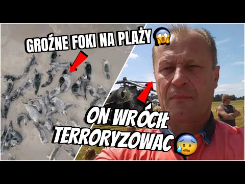 Szok! Setki fok na plaży i powrót do tragedii w Limanowej