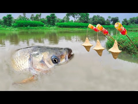 Best Fishing Video 🎣🐟 Traditional Hook Fishing ~ Catching  Fish By Fish Hook ~ #Fishing