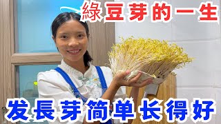 綠豆芽的一生，從長芽到飯桌上，发豆芽简单长得好，自己發豆芽自己吃，太有成就感了