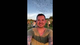 2025 - Camera Roll Videos