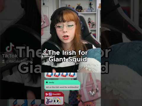 The Irish for Giant Squid is also very normal and not weird #twitchclips #livestreamfails #ireland