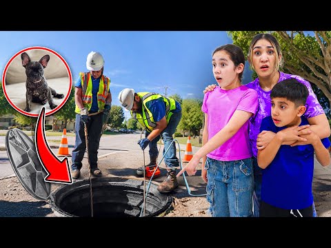 We Can't Find Our Dog!! *Fell In Sewer*