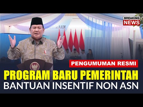 🔴PENGUMUMAN RESMI PROGRAM BARU BANTUAN INSENTIF NON ASN CEK KATEGORINYA !!