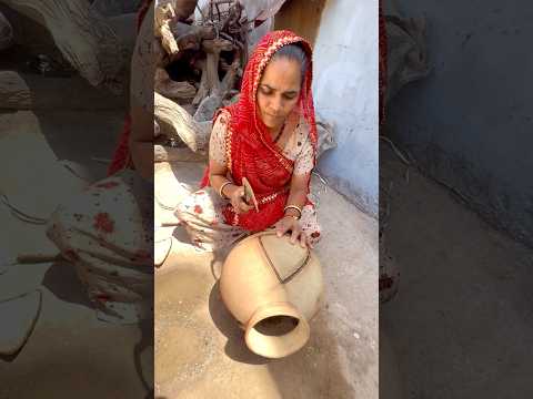 गाँव की अनपढ़ महिला ने बेज़ुबान पक्षियों लिए बनाया ग़ज़ब का आइटम👉amazing item for mute birds