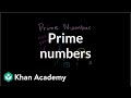 Exploring Prime Numbers and Their Properties