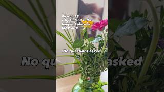 How work meetings end in Finland 😎