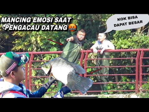 Emosi..! saat mancing dapat ikan besar perusuh datang