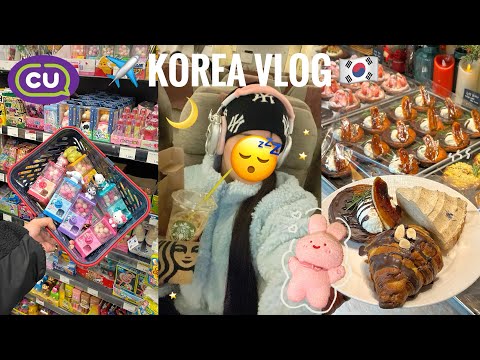 \Vlog/奇跡と事件の連発💥夢の国韓国で2泊3日の大充実記録🇰🇷アイドルメイク/カフェ巡り/爆買い盛り沢山！