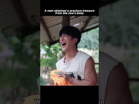 A man obtained a precious treasure from the cow's body#movie