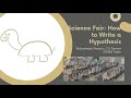 Hypothesis Formulation and Variables