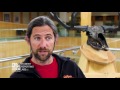 Isle Royale Ecosystem Dynamics