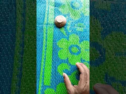 Boing catch frogs funny | froggy catch funny wep wep | funny froggy #shorts​ #frog