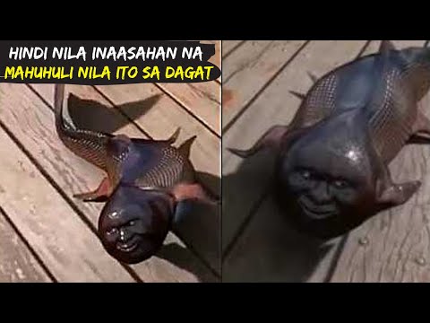 Hindi Nila inaasahan na Mahuhuli Nila ito sa Dagat / 10 Kakaibang Nilalang na Nahuli ng mga Tao