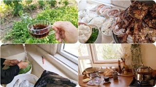 روتيني بالصيف🏡 بين المطبخ الجديد والقديم واخر تطورات المطبخ الاخيره 🫣😅كلبته كلاب