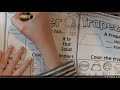 Exploring Rhombus and Cylinder Shapes