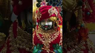 मुझे नहीं पता इसके दरबार से क्या मिलता है #shreekhatushyam#vairal #vairalshort  #shyam#vairal#short