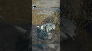 You can pet the Wolf in Dragon's Dogma 2: Dark Arisen  #dragonsdogma2  #dd2