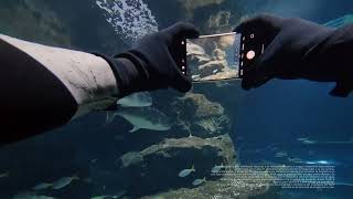 RN15 Aquarium 16 9 30s