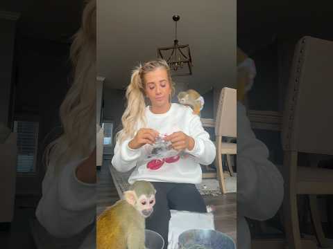 snapchat👻- OLIVERANDOAKLEY #madlovesripley #monkey #beauty #grwm #animals #funny #viral #fashion❤️