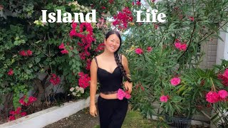 Moving, Swimming with Wild Dolphins, Santosha