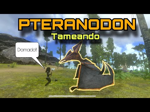 ARK | MI PRIMER DINOSAURIO | DIA 3 | VECINOS ENFRENTAOS SERIE: