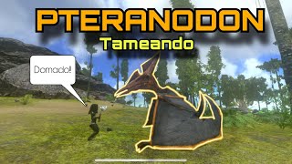 ARK | MI PRIMER DINOSAURIO | DIA 3 | VECINOS ENFRENTAOS SERIE: