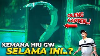 AKHIRNYA HIU YANG PERGI, KEMBALI LAGI KE DEHAKIMS..!