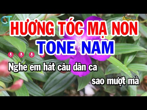 Karaoke Hương Tóc Mạ Non Tone Nam ( Dm ) Nhạc Sống Hay Nhất || Karaoke Tuấn Kiệt