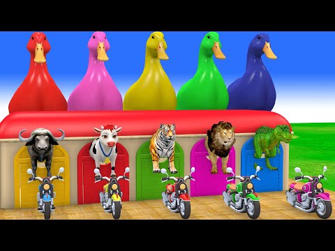 Long Slide Game with Cow Elephant Gorilla Hippopotamus Tiger 3d Animal Game Funny 3d Animals